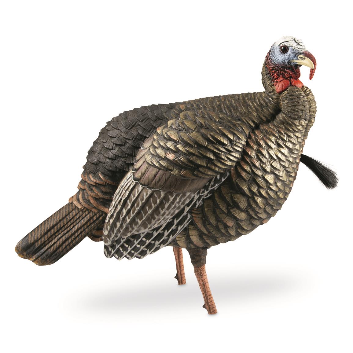 Turkey Decoys