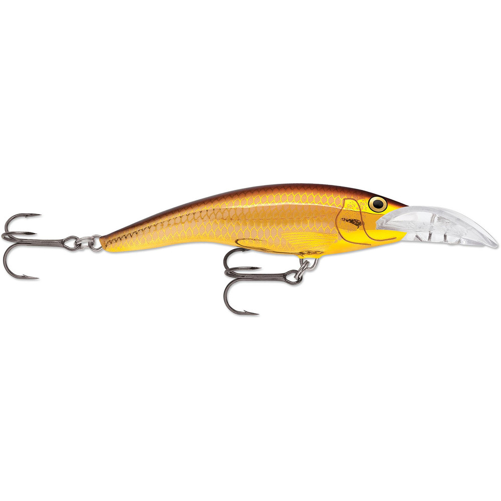 Bait & Lures