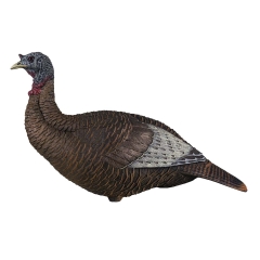 Flextone Thunder Chick Turkey Decoy