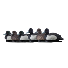 Avian-X Topflight Blue Bills 6 Pack