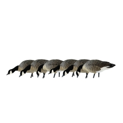 Avian-X AXP Canada Goose Lessers Feeder Full Body Decoys 6 Pack
