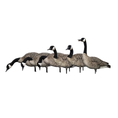Avian-X AXP Honkers Canada Goose Fusion 6 Pack