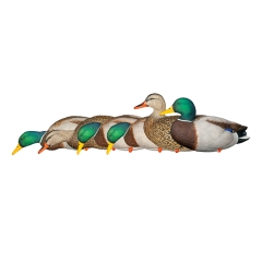 Avian-X AXP Full Body Mallards Fusion 6 Pack