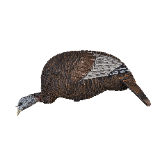 Flextone Thunder Chick Feeder Turkey Decoy