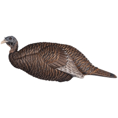 Flextone Thunder Chick Breeder Turkey Decoy