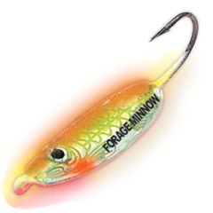 Northland Forage Minnow Jig - 2 pack