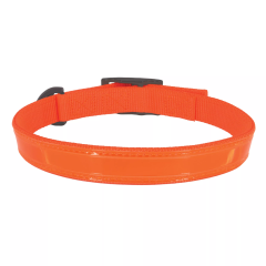 Water & Woods Double-Ply Reflective Dog Collar - 20" Blaze Orange