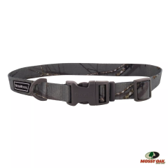 Water & Woods 3/4" x 10"-14" Adjustable Dog Collar - Country Roots Evergreen