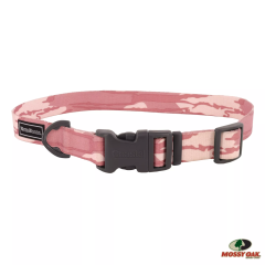 Water & Woods 1" x 14"-20" Adjustable Dog Collar - Bottomland Pink