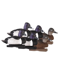 GHG Foam Filled Pro Grade Ring-Necked Duck Decoys - 6 Pack