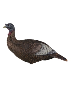 Flextone Thunder Chick Turkey Decoy