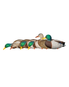 Avian-X AXP Full Body Mallards Fusion 6 Pack