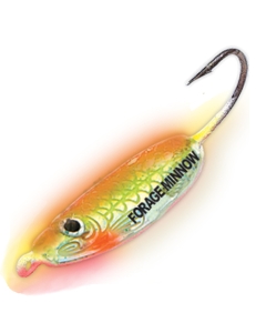 Northland Forage Minnow Jig - 2 pack