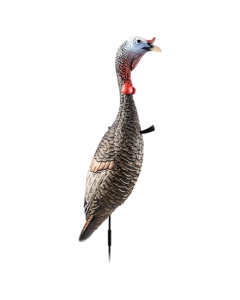 Flextone Funky Chicken Gen 2 Turkey Decoy