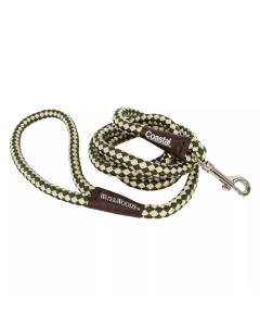 Water & Woods 6' Braided Rope Snap Dog Leash - Green & White