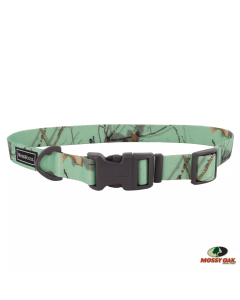 Water & Woods 3/4" x 10"-14" Adjustable Dog Collar - Country Roots Equinox