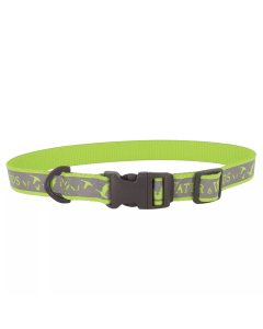Water & Woods 1" x 14"-20" Adjustable Reflective Dog Collar - Lime