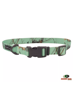 Water & Woods 1" x 14"-20" Adjustable Dog Collar - Country Roots Equinox