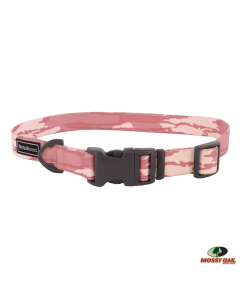 Water & Woods 1" x 14"-20" Adjustable Dog Collar - Bottomland Pink