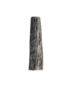 KONG Wild Antler Whole Dog Toy