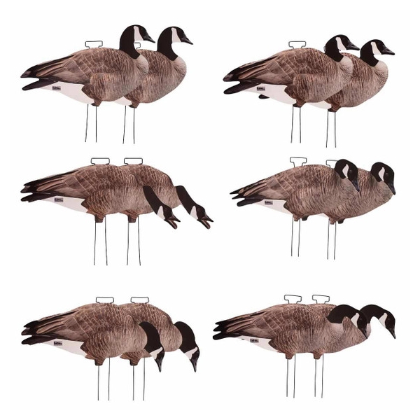 Greenhead Gear Canada Goose Silhouette Decoys