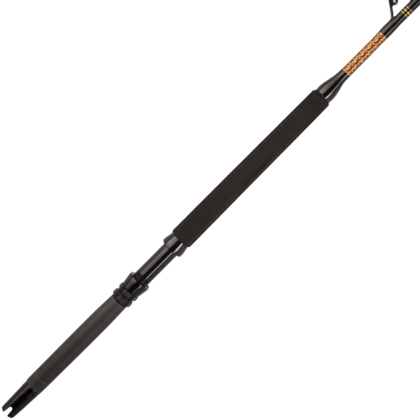 Penn International V Fishing Rod
