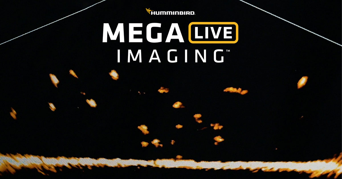 Humminbird Ice Helix 9 MSI+ GPS G4N MEGA Live Bundle at Glen's