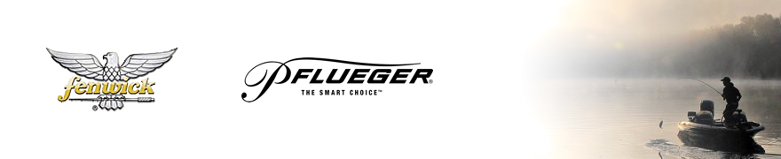 Fenwick & Pflueger Banner
